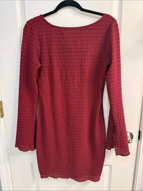 wild fable Burgundy Crochet Bodycon Romantic Long-Sleeve Dress